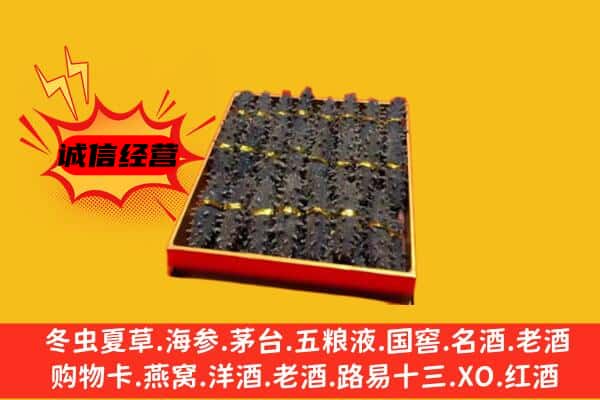 大柴旦县回收海参